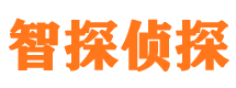 芦淞侦探社